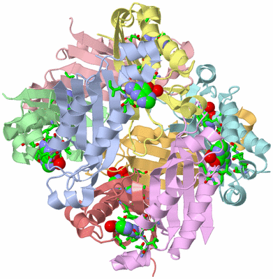 Image Biol. Unit 1 - sites