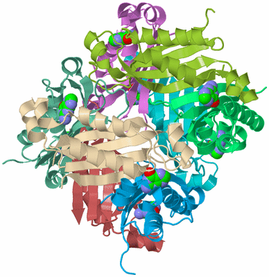 Image Biological Unit 2