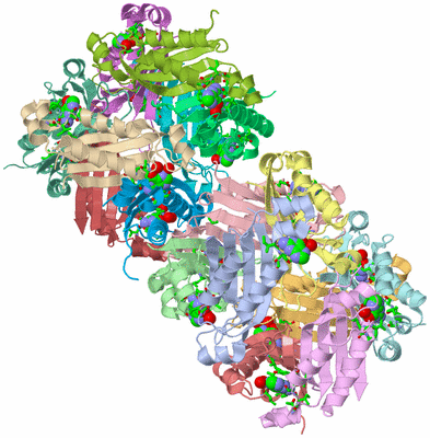 Image Asym. Unit - sites