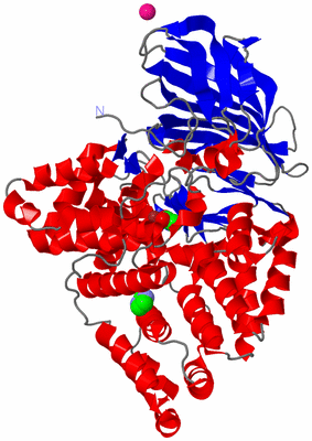 Image Asym./Biol. Unit