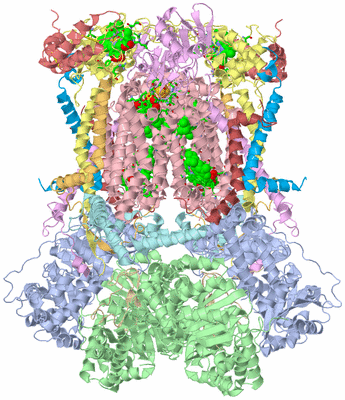 Image Biol. Unit 1 - sites