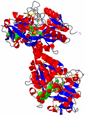 Image Asym./Biol. Unit - sites