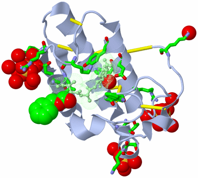 Image Asym./Biol. Unit - sites