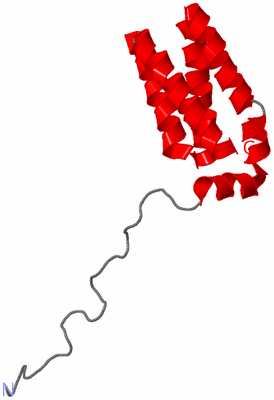 Image NMR Structure - model 1