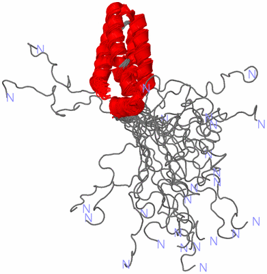 Image NMR Structure - all models