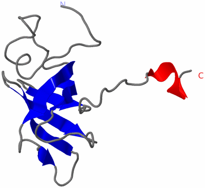 Image NMR Structure - model 1