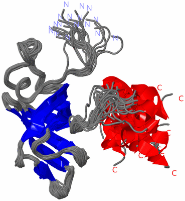 Image NMR Structure - all models