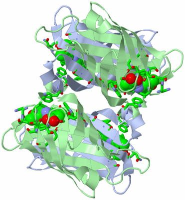 Image Biol. Unit 1 - sites