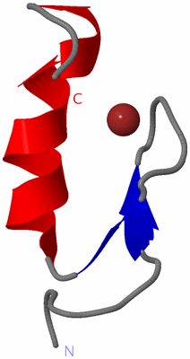 Image NMR Structure - model 1