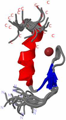 Image NMR Structure - all models