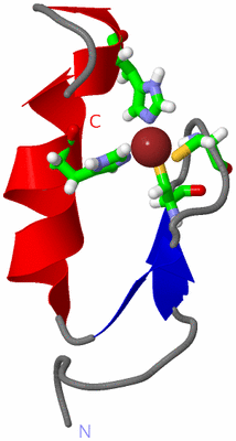 Image NMR Structure - model 1, sites