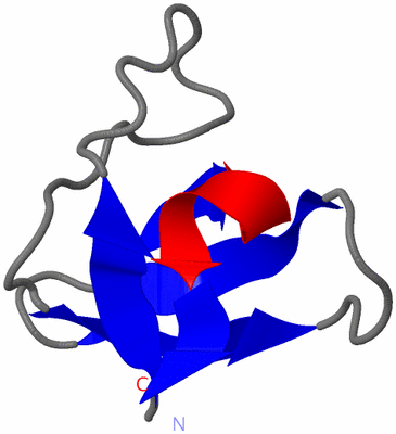 Image NMR Structure - model 1