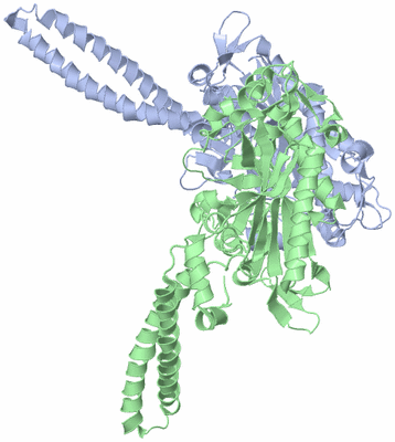 Image Asym./Biol. Unit