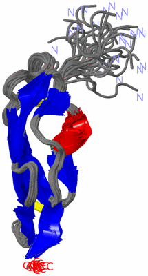 Image NMR Structure - all models