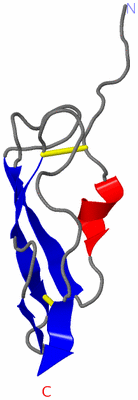 Image NMR Structure - model 1