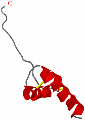 Image NMR Structure - model 1