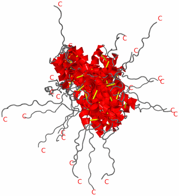 Image NMR Structure - all models