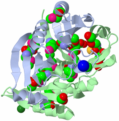 Image Asymmetric Unit