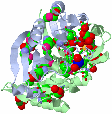 Image Biol. Unit 1 - sites