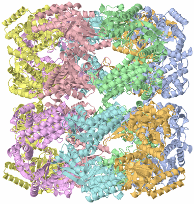 Image Biological Unit 1