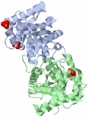 Image Biological Unit 1