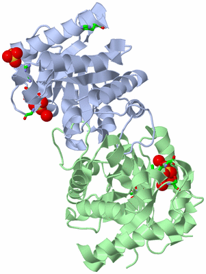 Image Biol. Unit 1 - sites