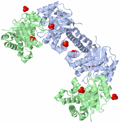 Image Biological Unit 2