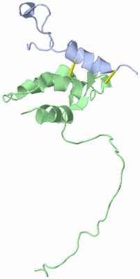 Image NMR Structure - model 1