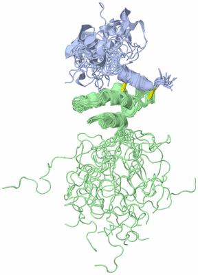 Image NMR Structure - all models