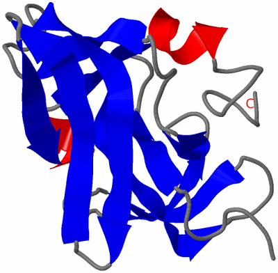 Image NMR Structure - model 1