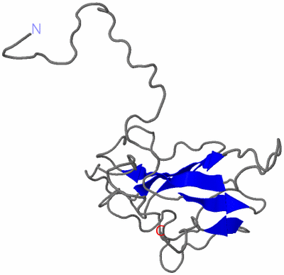 Image NMR Structure - all models