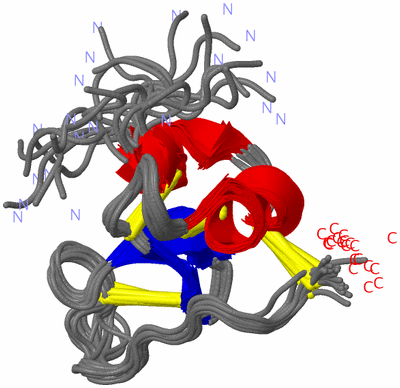 Image NMR Structure - all models