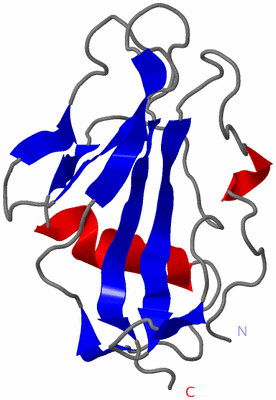 Image NMR Structure - model 1
