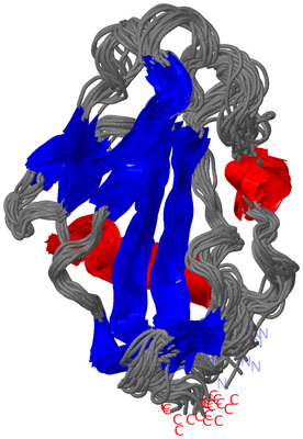 Image NMR Structure - all models