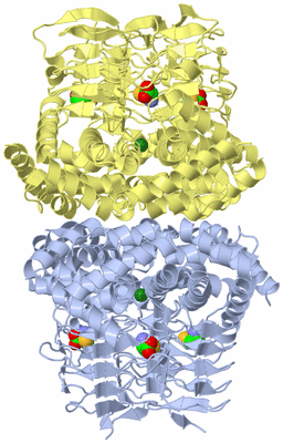 Image Biological Unit 1