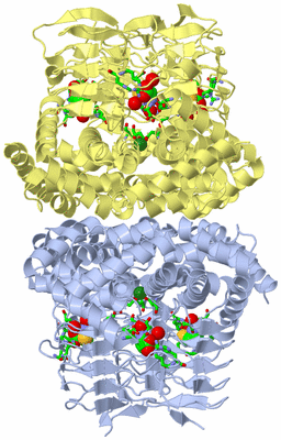 Image Biol. Unit 1 - sites