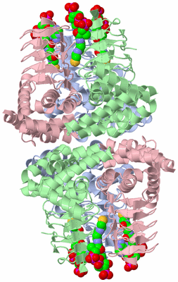 Image Biological Unit 1