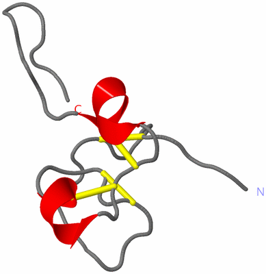 Image NMR Structure - model 1