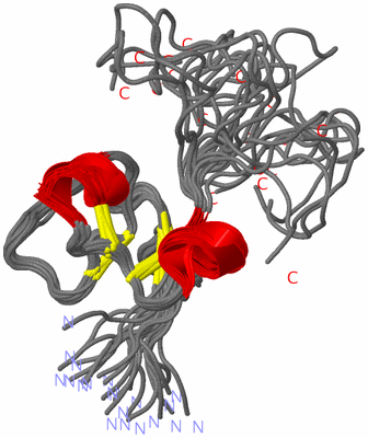 Image NMR Structure - all models