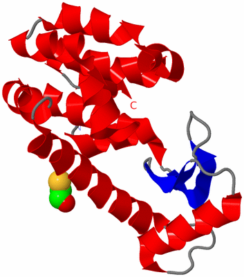 Image Asym./Biol. Unit