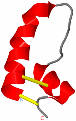 Image Asymmetric Unit