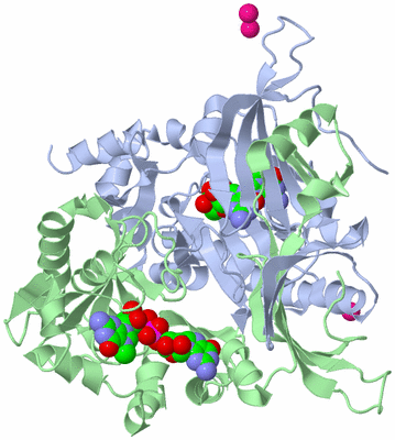 Image Asym./Biol. Unit