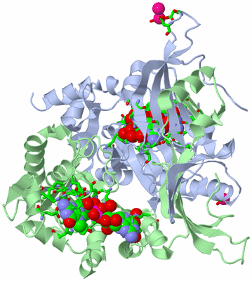 Image Asym./Biol. Unit - sites