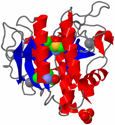 Image Asym./Biol. Unit