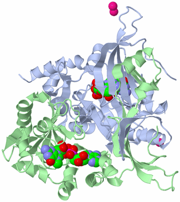 Image Asym./Biol. Unit