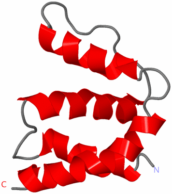 Image NMR Structure - model 1