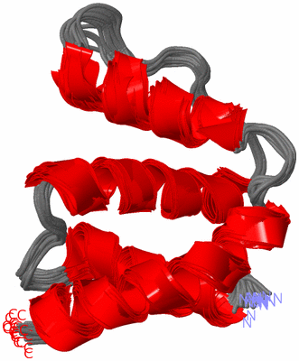 Image NMR Structure - all models