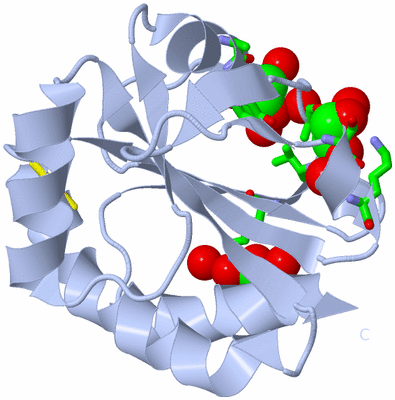 Image Biol. Unit 1 - sites