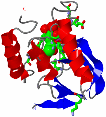 Image Asym./Biol. Unit - sites