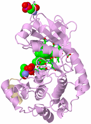 Image Asym./Biol. Unit - sites